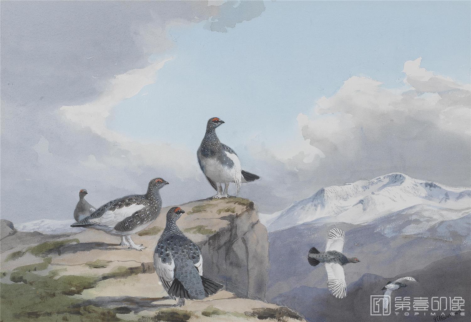 油画-约翰.赛里尔·哈里森 John Harrison作品集-060